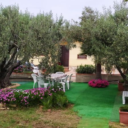 Casanonnavittoria Bed & Breakfast Terrasini Luaran gambar