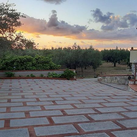 Casanonnavittoria Bed & Breakfast Terrasini Luaran gambar