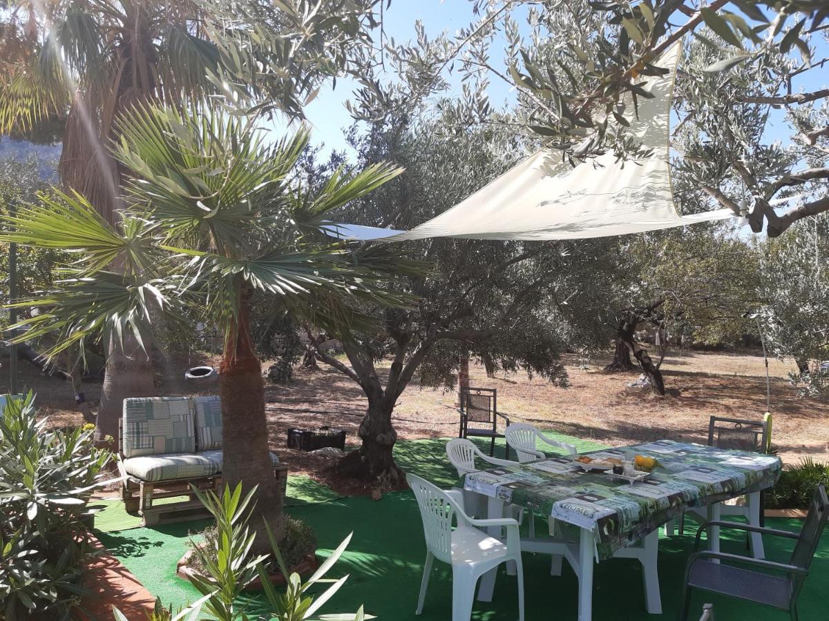 Casanonnavittoria Bed & Breakfast Terrasini Luaran gambar